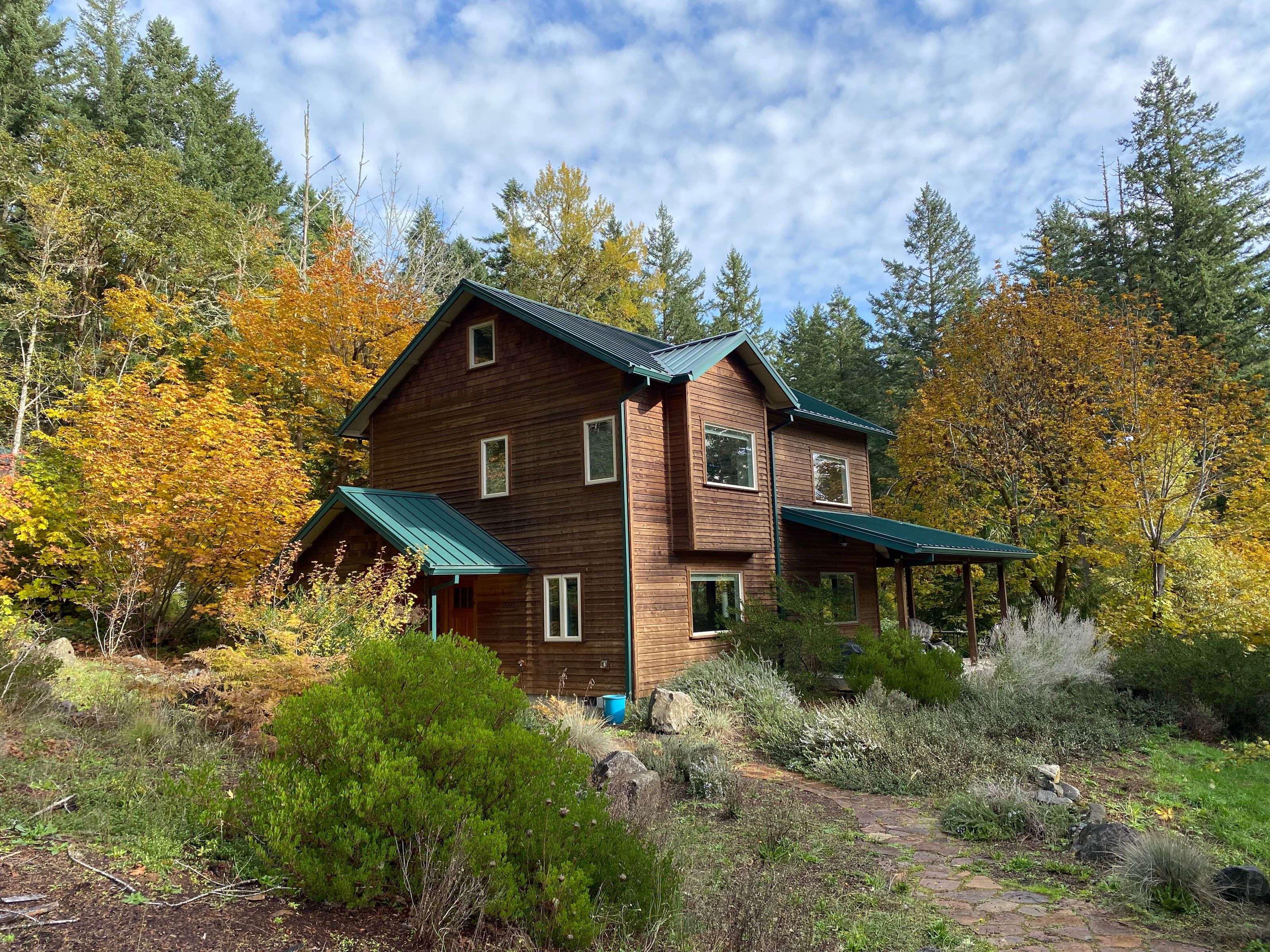 The house in autumn, held between gold bigleaf maples and dark conifers